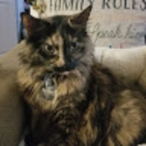 Meet your Posher, Alana